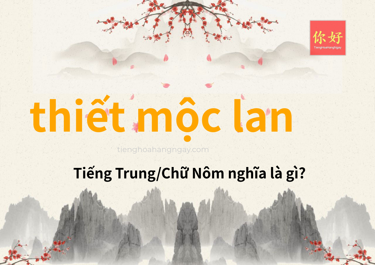 thiết mộc lan tiếng Trung là gì?